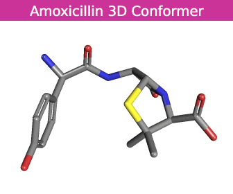 Amoxicillin 3D