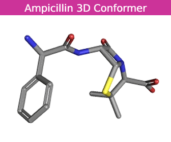 Ampicillin 3D