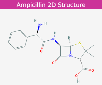 Ampicillin
