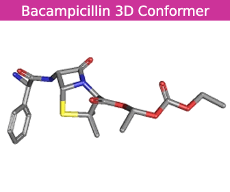 Bacampicillin 3D